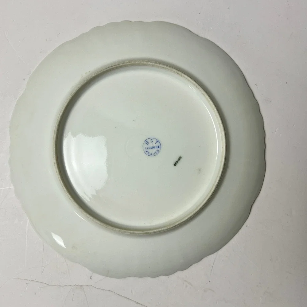 B&T Limoges France Salad Plate 9.75